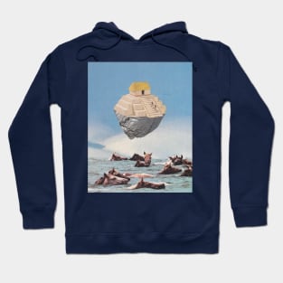 Noah's Ark Hoodie